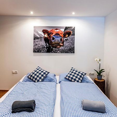 차군스 Haus Silvretta Nova 아파트 외부 사진